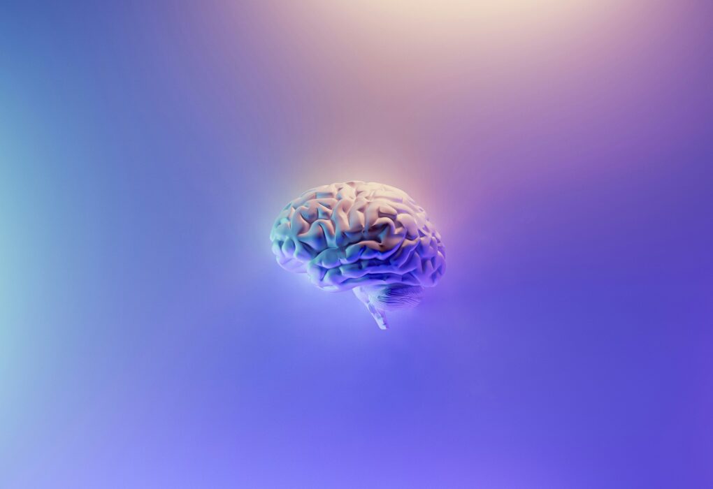 The Future of Brain Health: Exploring the Innovations Behind BrainPathJunction